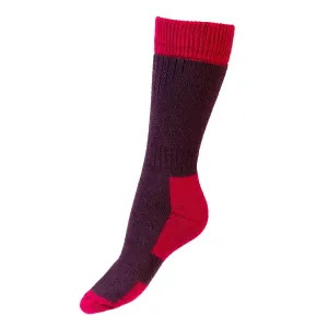 Glen Lady Socks - Thistle by House of Cheviot