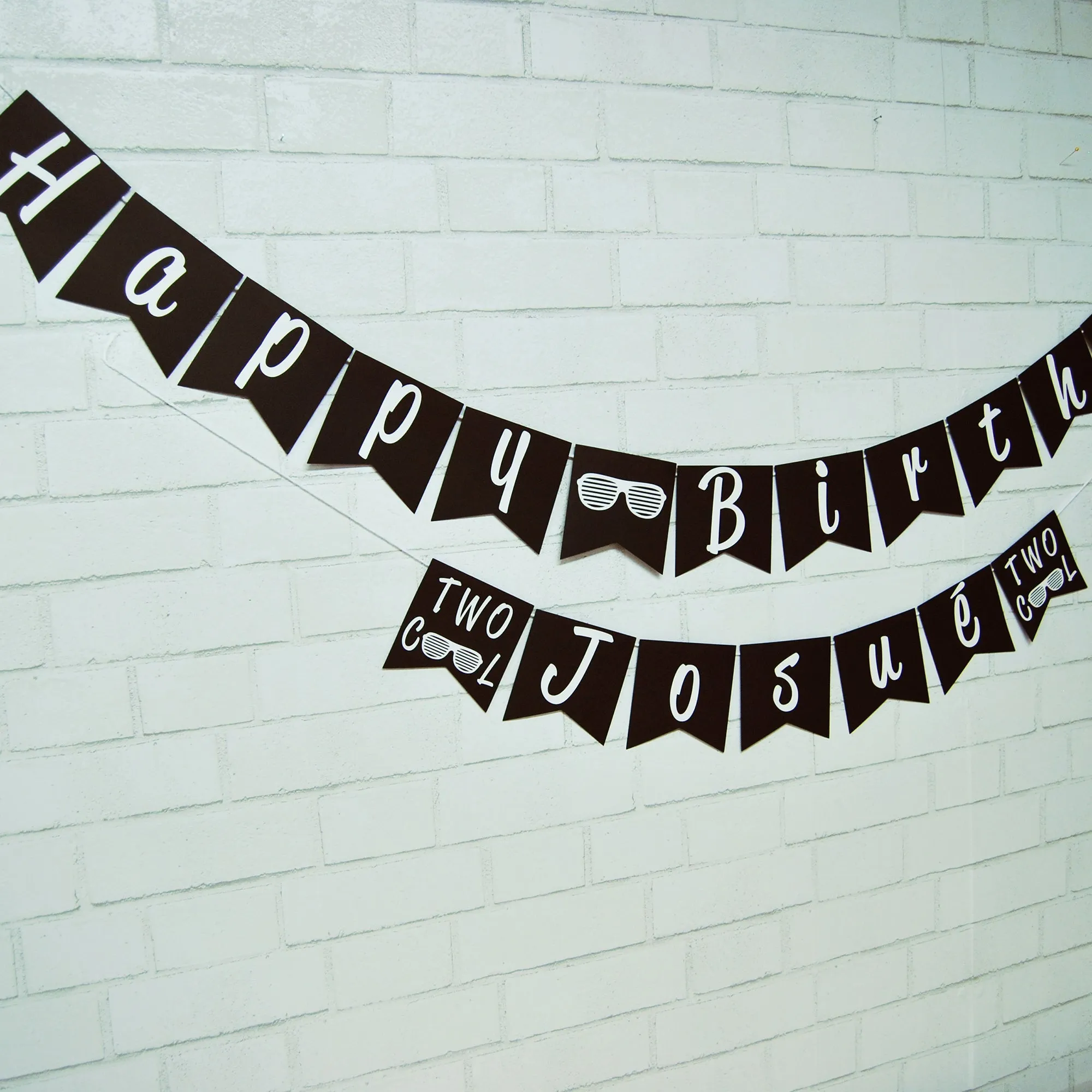 Two Cool Birthday Banner